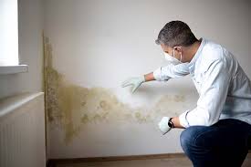 Best Emergency Mold Remediation  in Merrick, NY